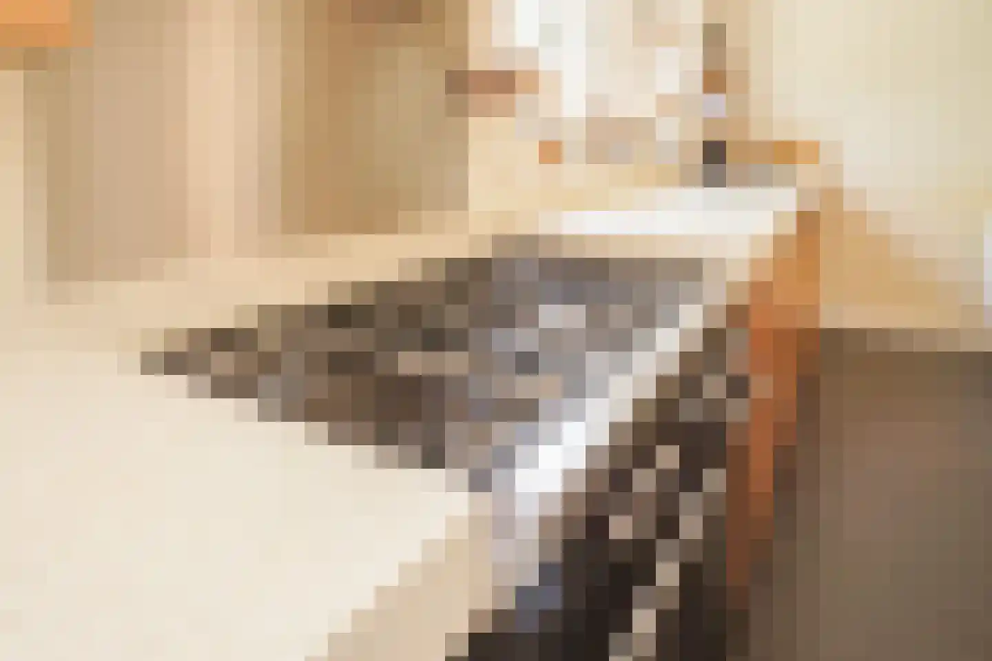 Rijdersstraat 6 't Veld thumbnail 19