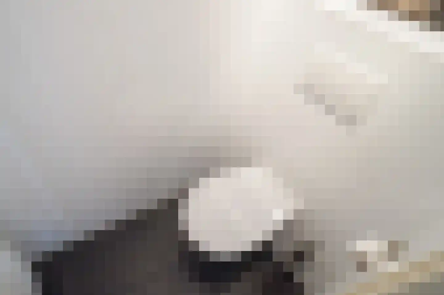Rijdersstraat 6 't Veld thumbnail 33