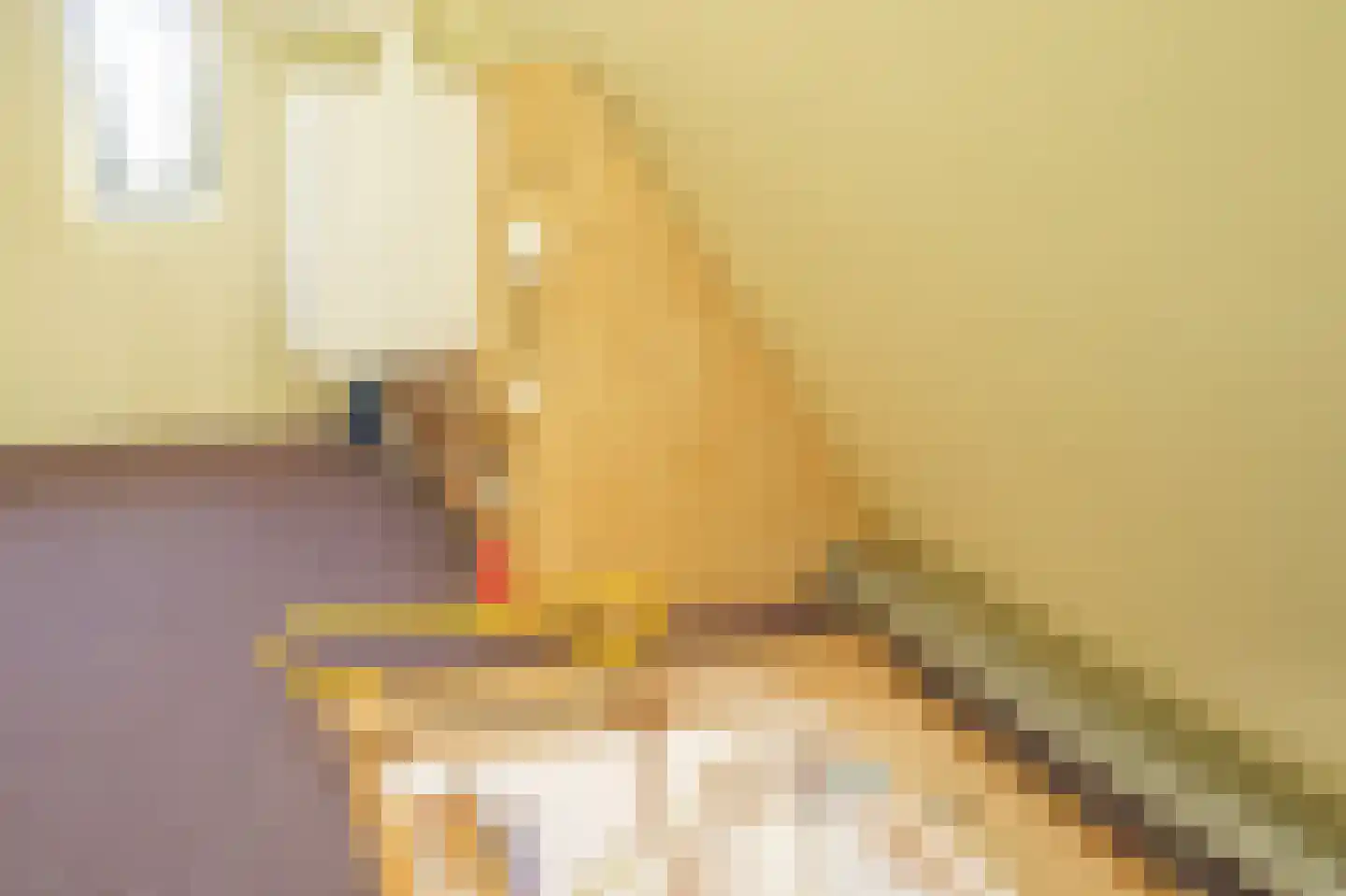 Rijdersstraat 6 't Veld thumbnail 37