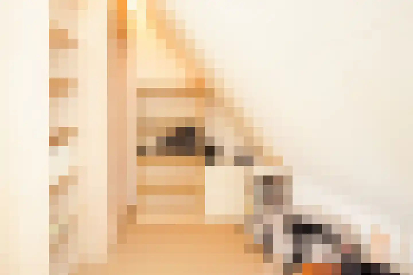 Rijdersstraat 6 't Veld thumbnail 49