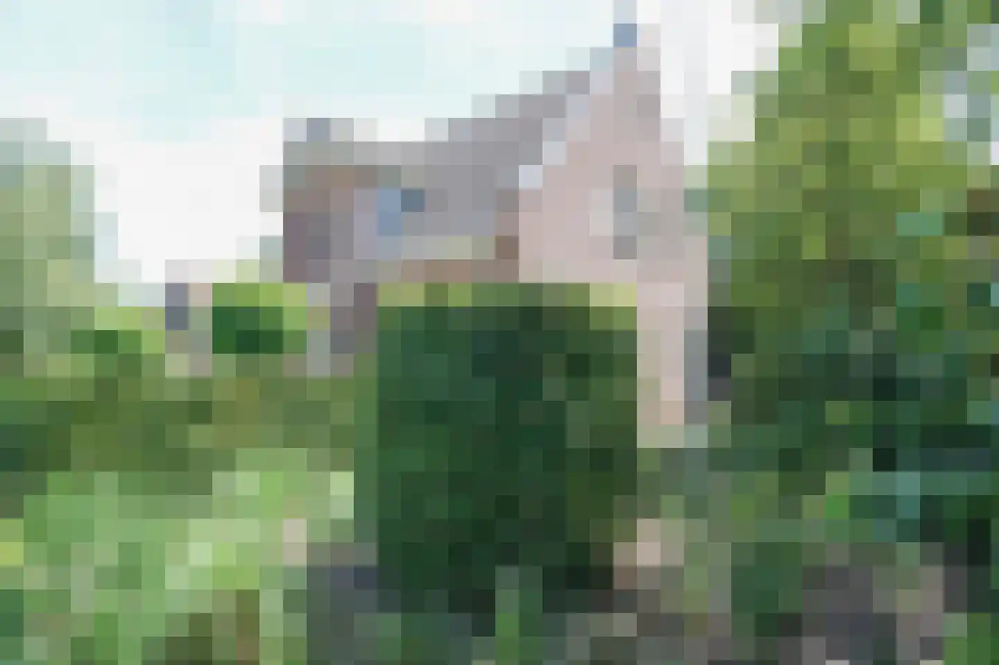 Rijdersstraat 6 't Veld thumbnail 61