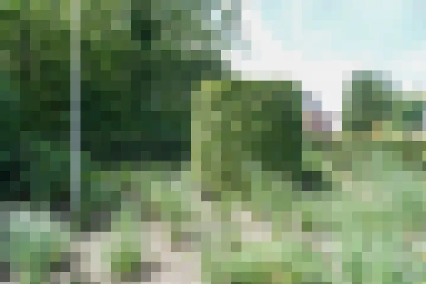 Rijdersstraat 6 't Veld thumbnail 65