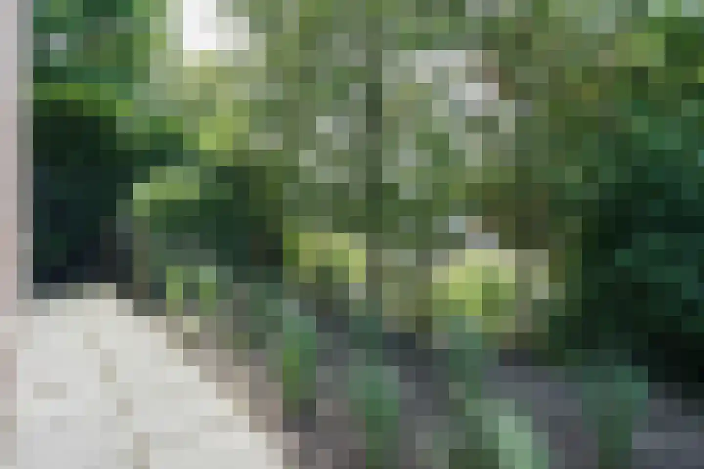 Rijdersstraat 6 't Veld thumbnail 66