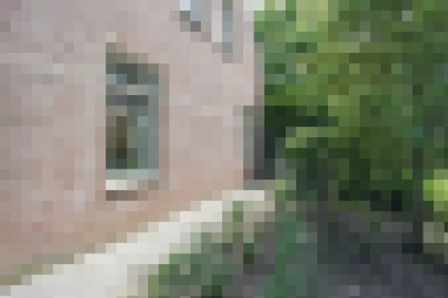 Rijdersstraat 6 't Veld thumbnail 67