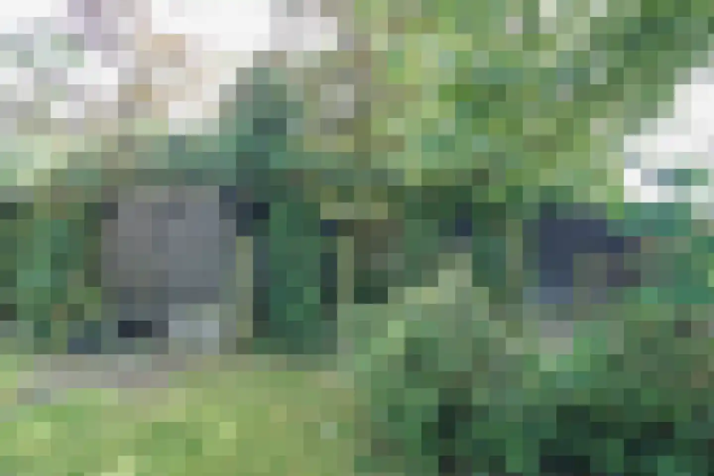 Rijdersstraat 6 't Veld thumbnail 75