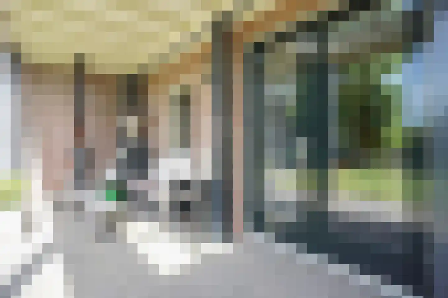 Rijdersstraat 6 't Veld thumbnail 79