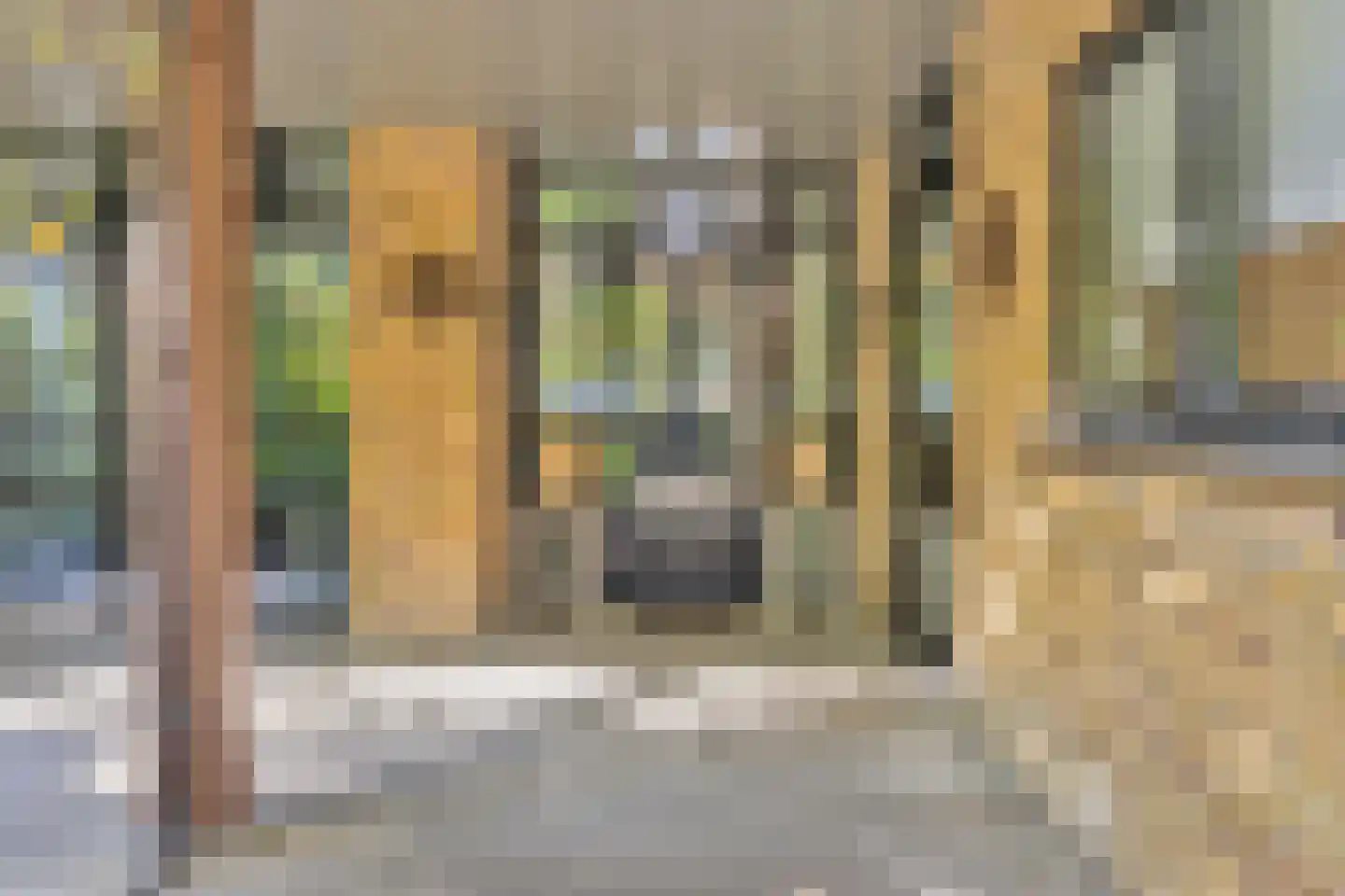 Rijdersstraat 65 't Veld thumbnail 30