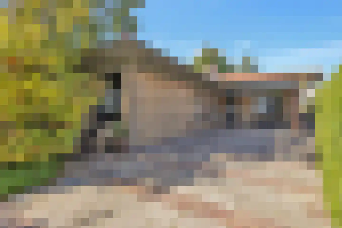Rijdersstraat 65 't Veld thumbnail 42