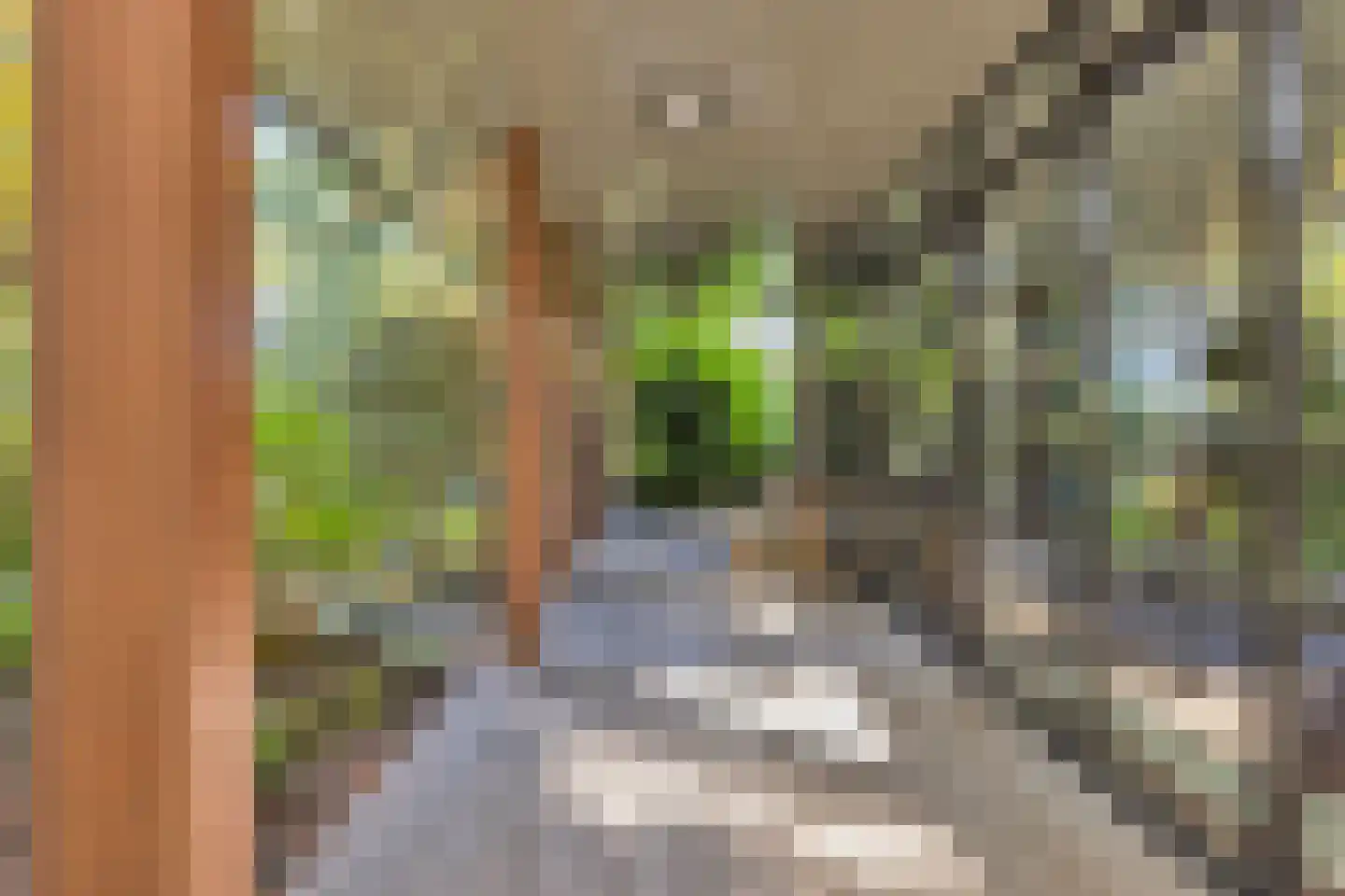 Rijdersstraat 65 't Veld thumbnail 47