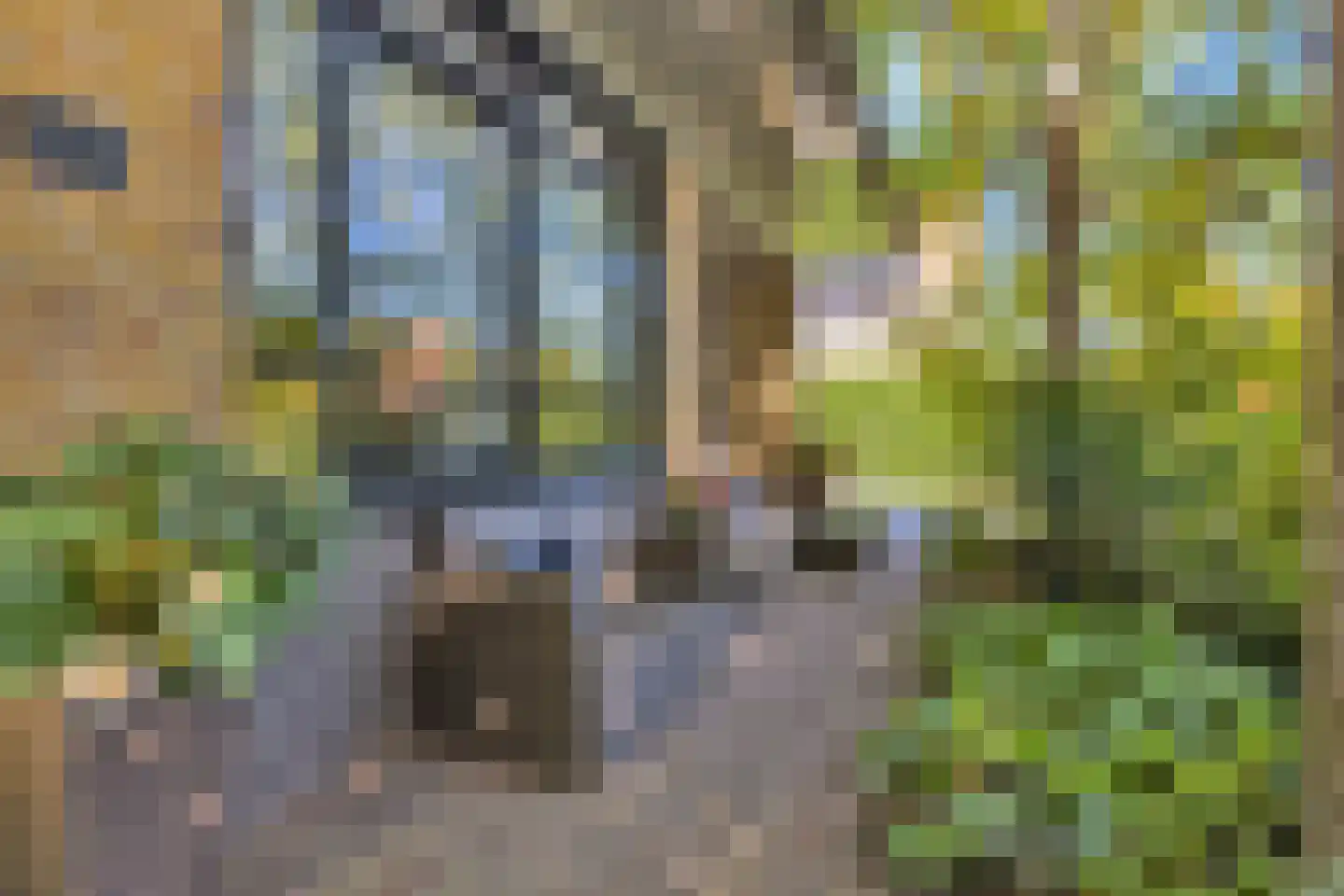 Rijdersstraat 65 't Veld thumbnail 48