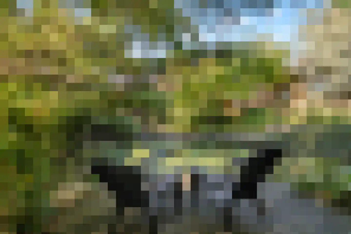 Rijdersstraat 65 't Veld thumbnail 49