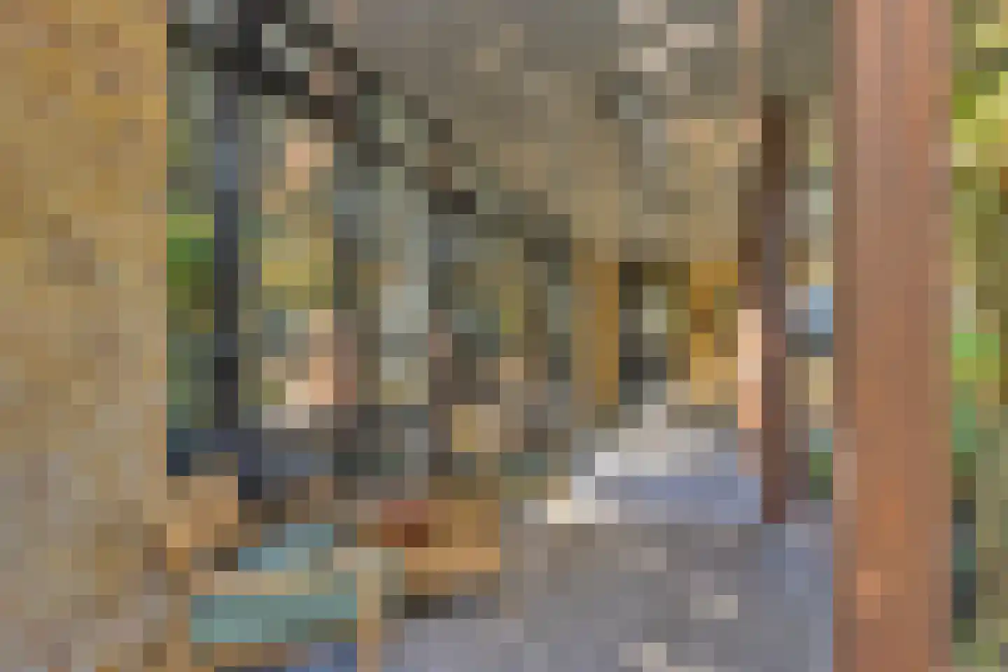 Rijdersstraat 65 't Veld thumbnail 5