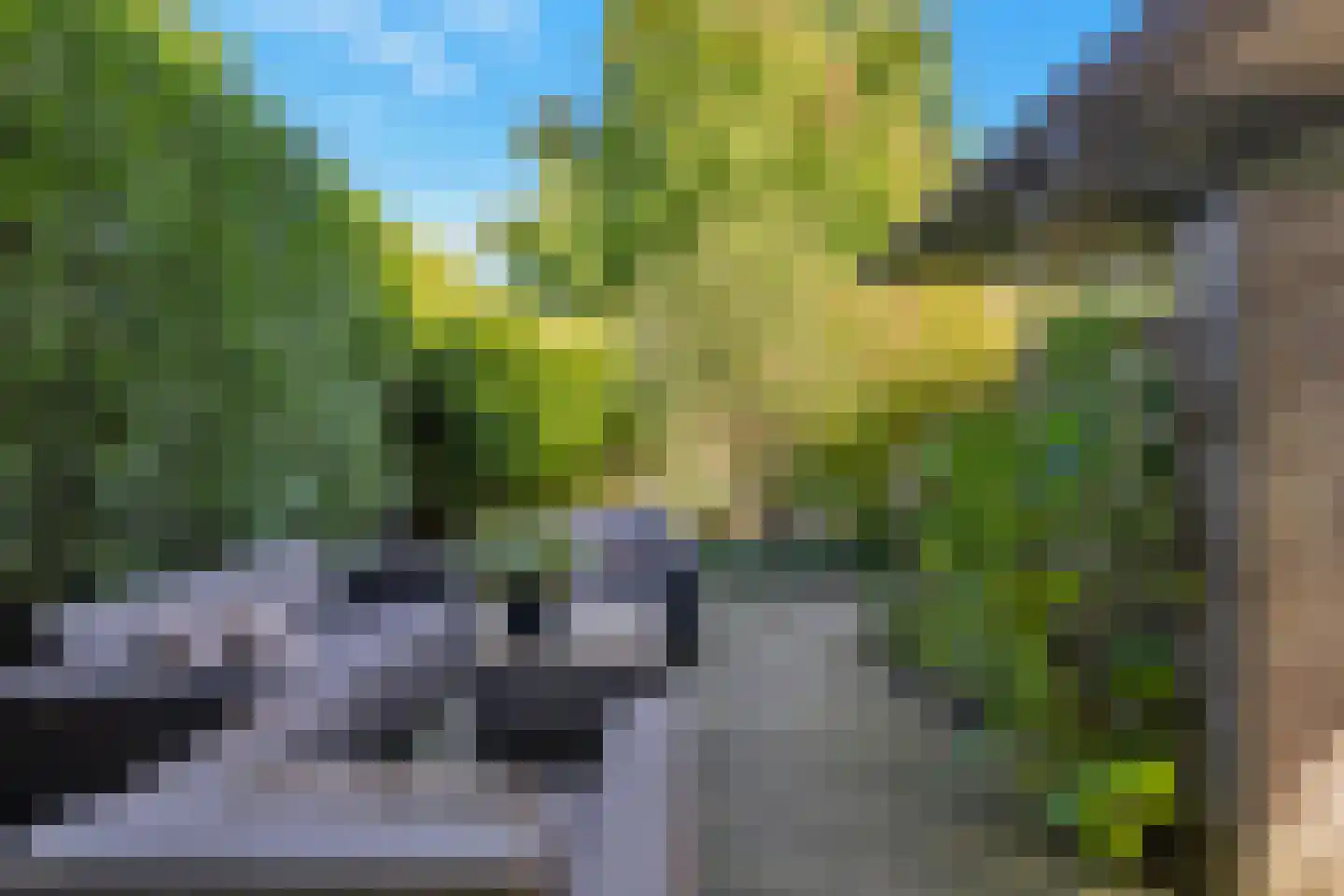 Rijdersstraat 65 't Veld thumbnail 52