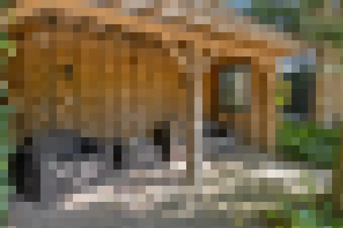Rijdersstraat 65 't Veld thumbnail 55