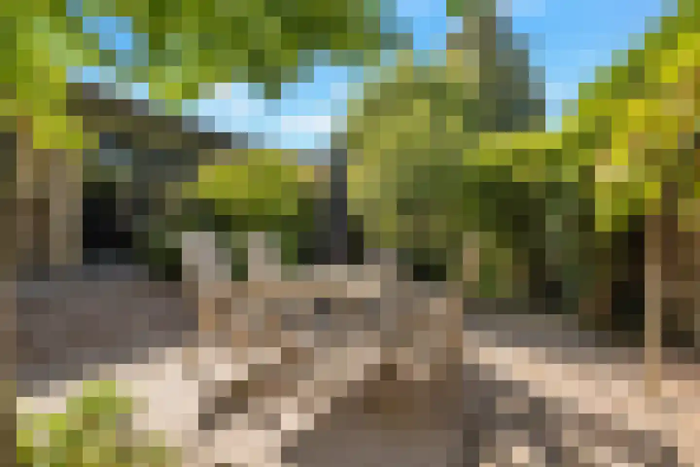 Rijdersstraat 65 't Veld thumbnail 56