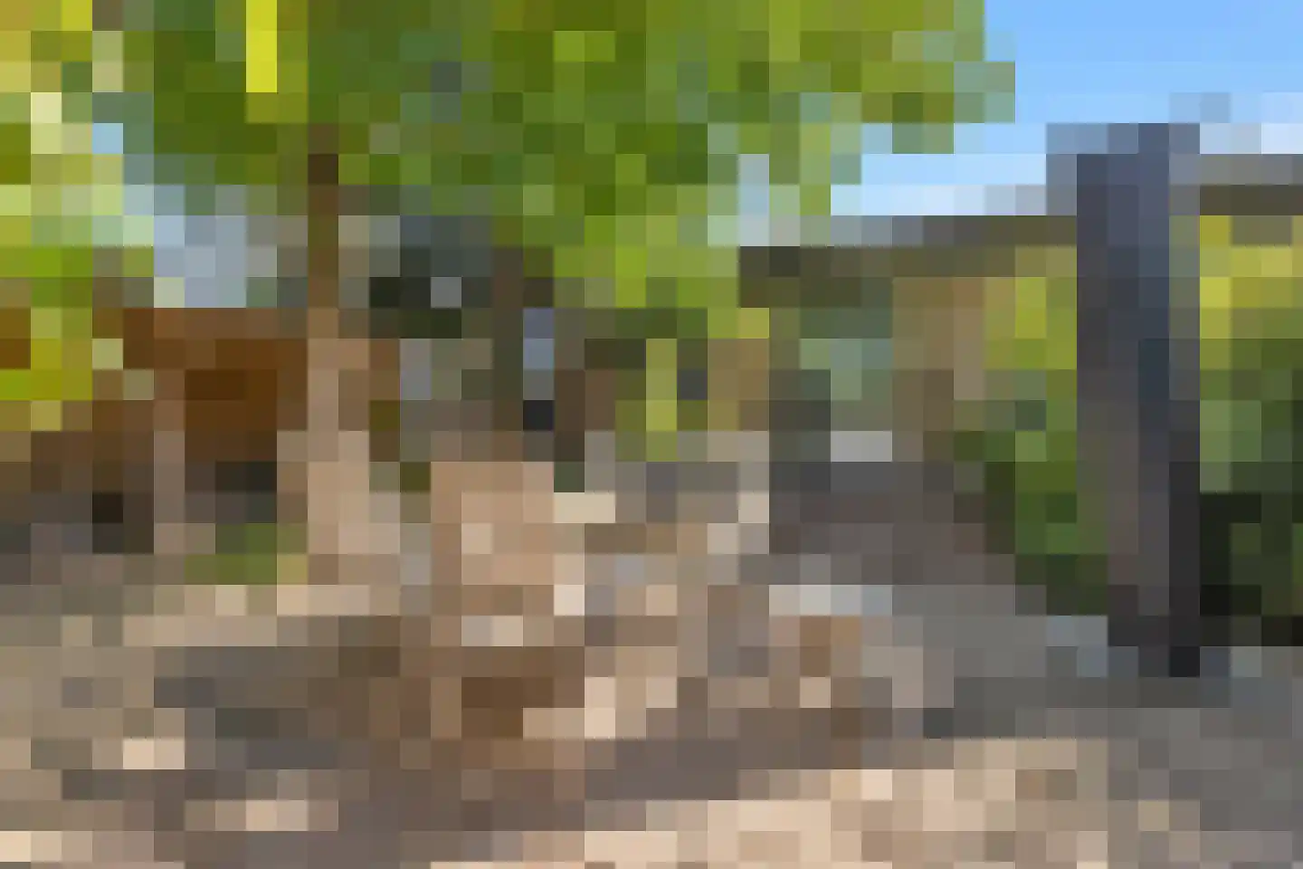 Rijdersstraat 65 't Veld thumbnail 6