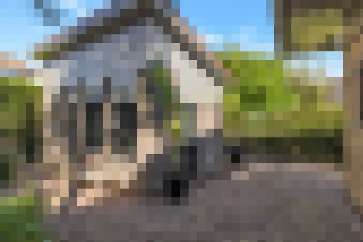 Rijdersstraat 65 't Veld thumbnail 7