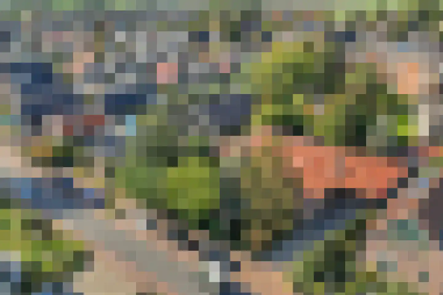 Rijdersstraat 65 't Veld thumbnail 8