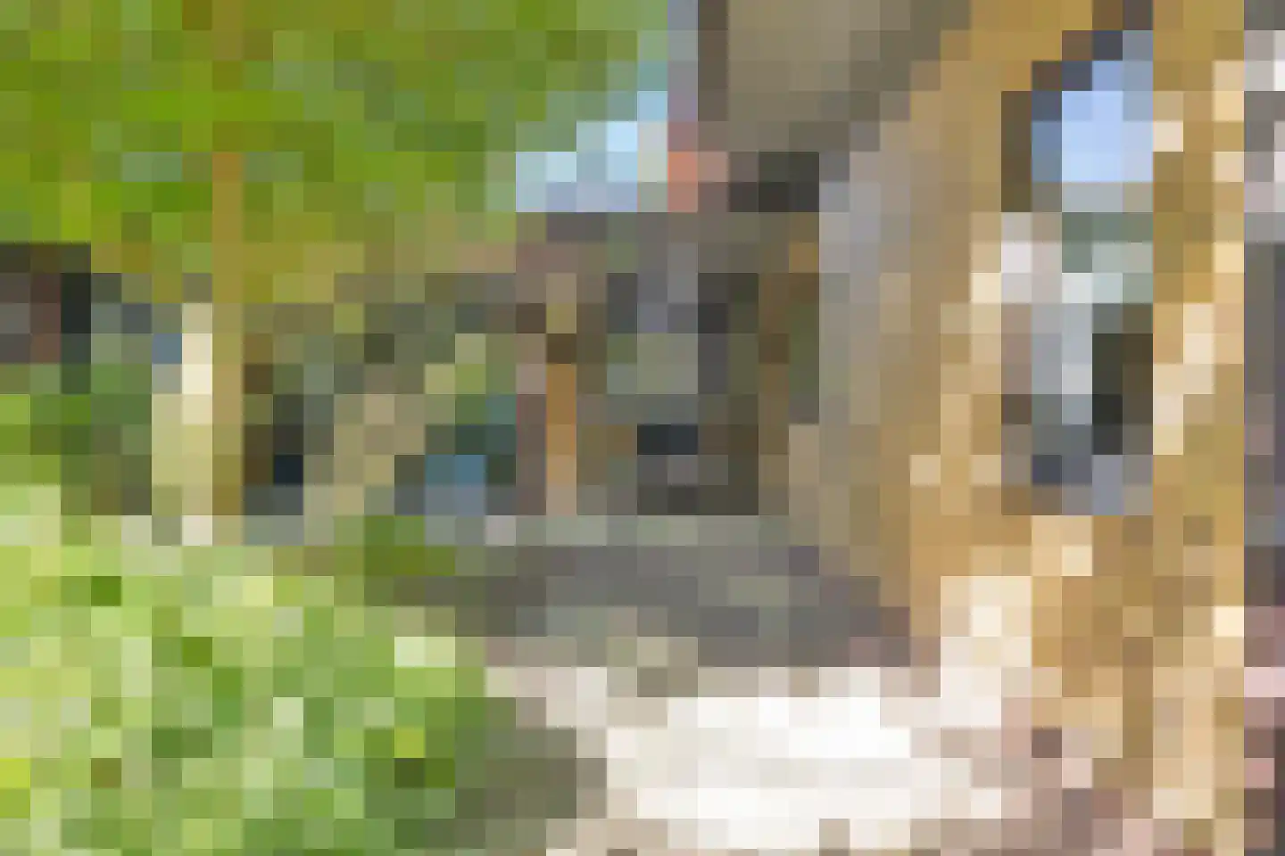 Rijdersstraat 65 't Veld thumbnail 9