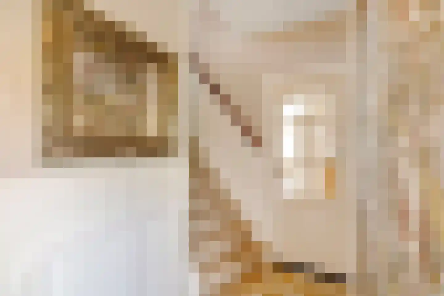 Rijdersstraat 7 't Veld thumbnail 12