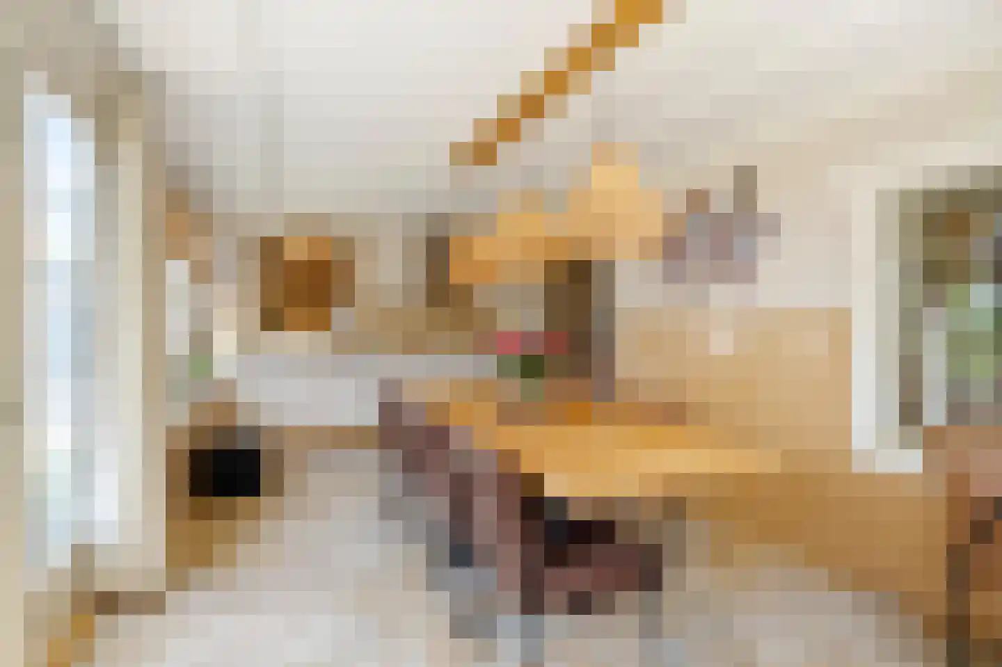 Rijdersstraat 7 't Veld thumbnail 19