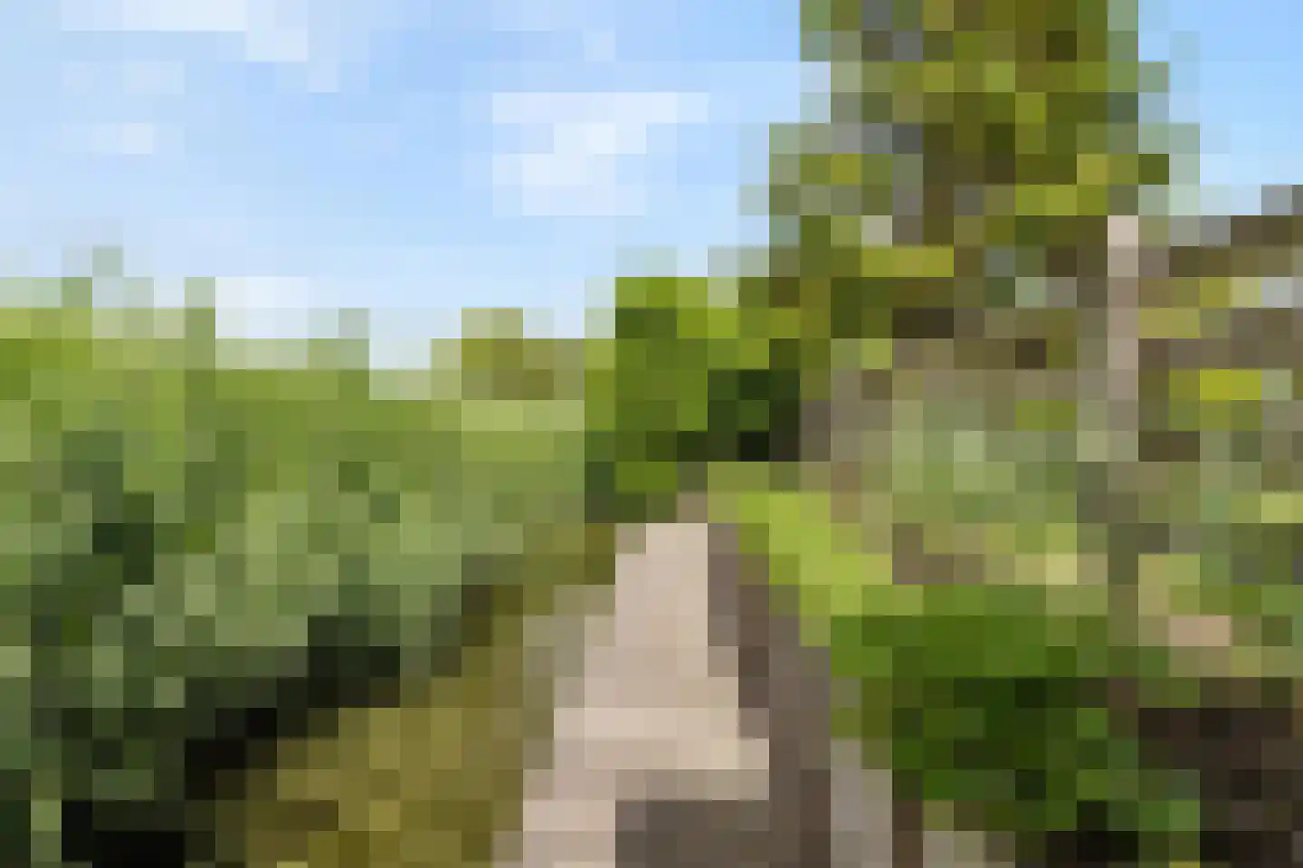 Rijdersstraat 7 't Veld thumbnail 57