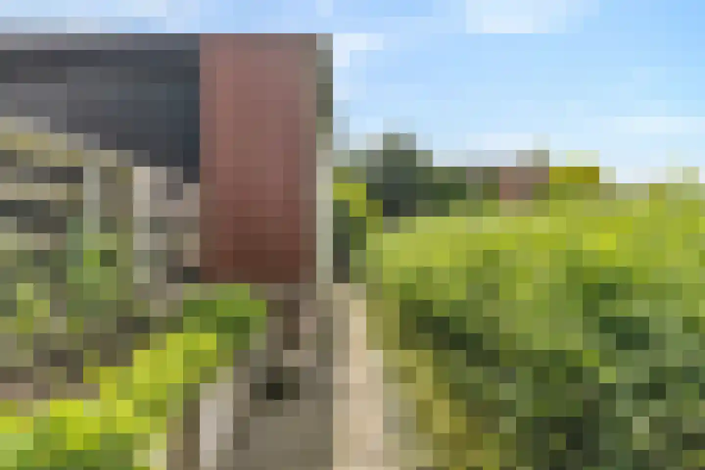 Rijdersstraat 7 't Veld thumbnail 58