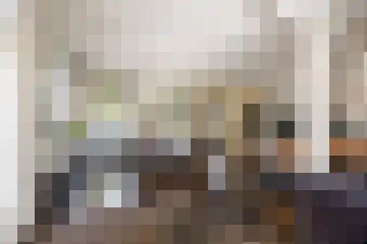 Rijdt 27 Horssen thumbnail 10