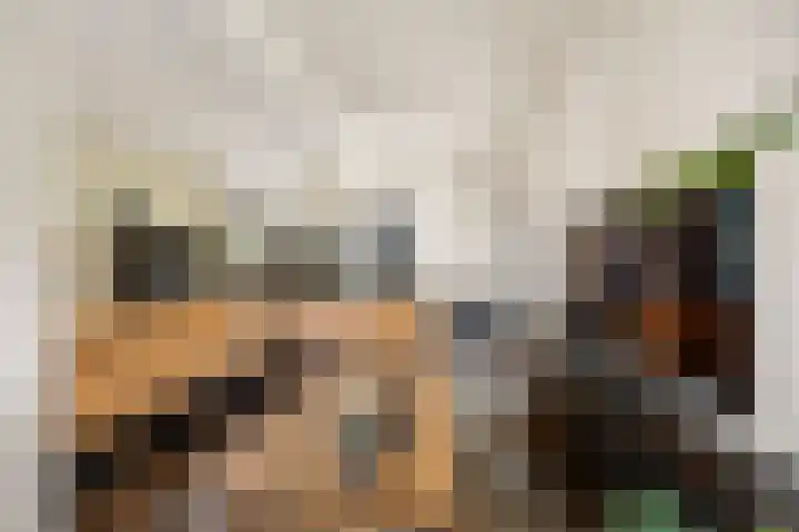 Rijdt 27 Horssen thumbnail 11