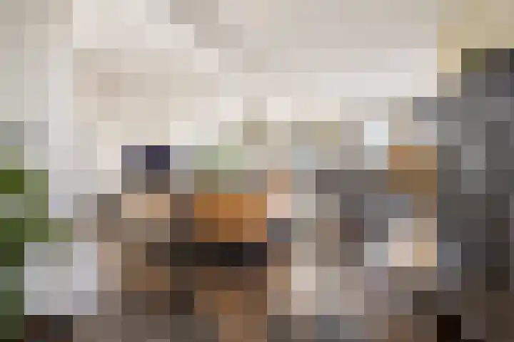 Rijdt 27 Horssen thumbnail 12
