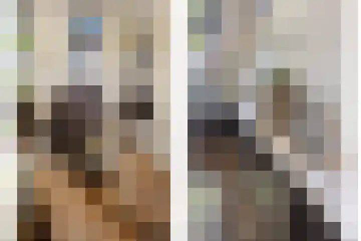 Rijdt 27 Horssen thumbnail 15