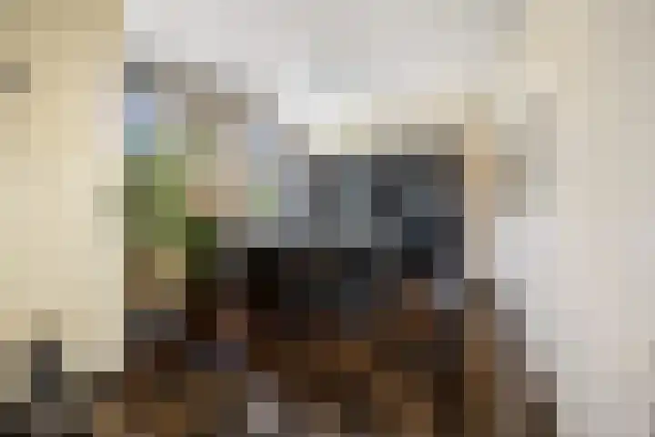 Rijdt 27 Horssen thumbnail 16