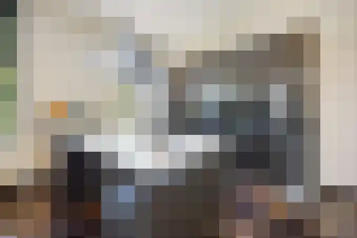 Rijdt 27 Horssen thumbnail 17