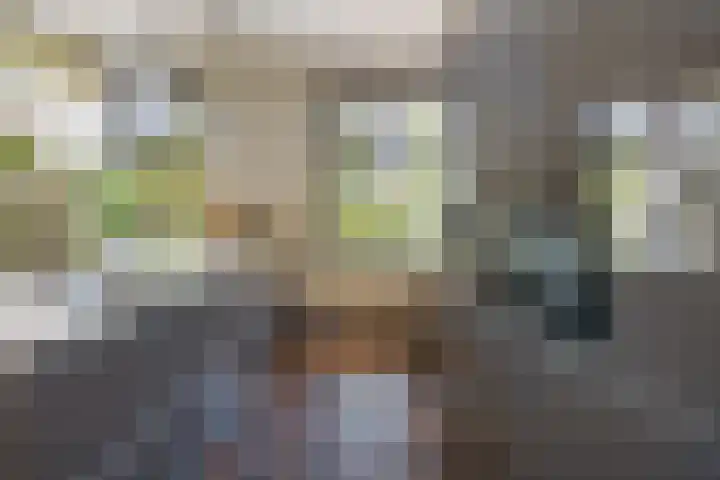 Rijdt 27 Horssen thumbnail 18
