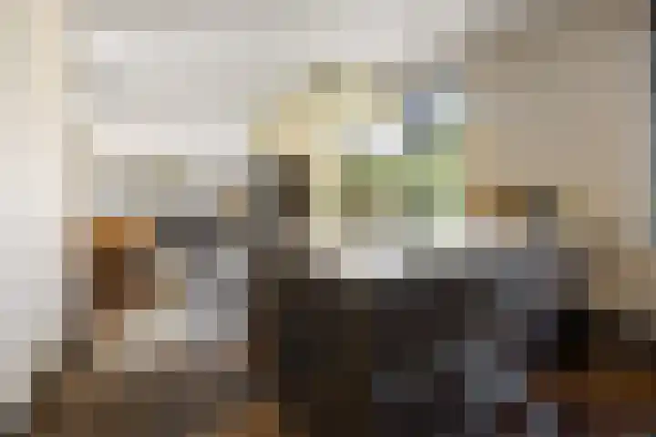 Rijdt 27 Horssen thumbnail 19
