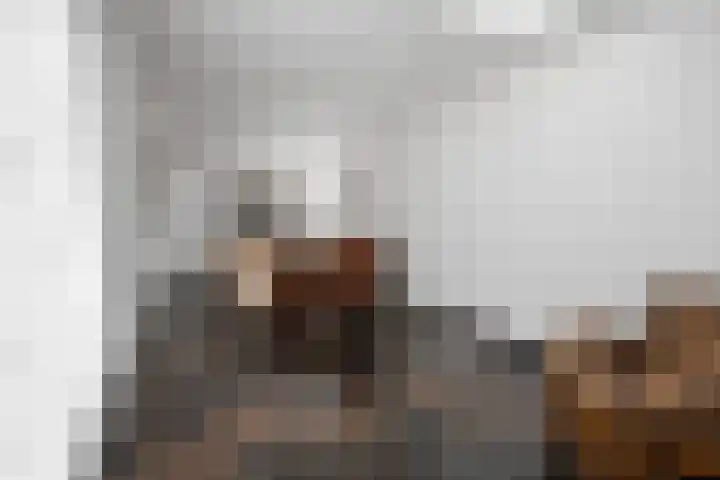 Rijdt 27 Horssen thumbnail 21