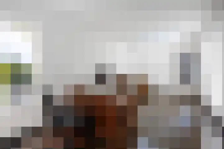 Rijdt 27 Horssen thumbnail 22