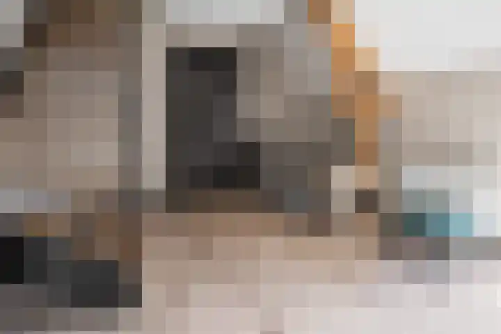 Rijdt 27 Horssen thumbnail 24