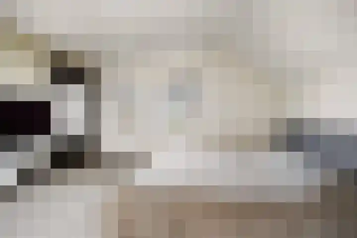 Rijdt 27 Horssen thumbnail 25