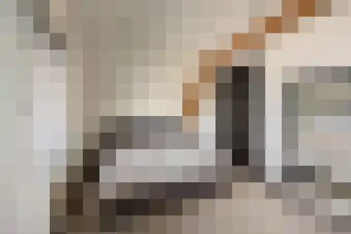 Rijdt 27 Horssen thumbnail 26