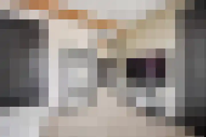 Rijdt 27 Horssen thumbnail 27