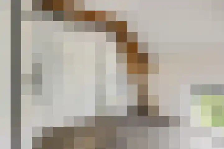 Rijdt 27 Horssen thumbnail 28