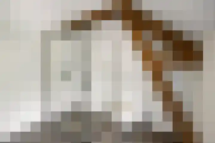 Rijdt 27 Horssen thumbnail 29