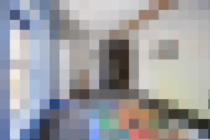 Rijdt 27 Horssen thumbnail 39