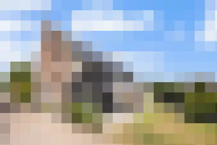 Rijdt 27 Horssen thumbnail 4