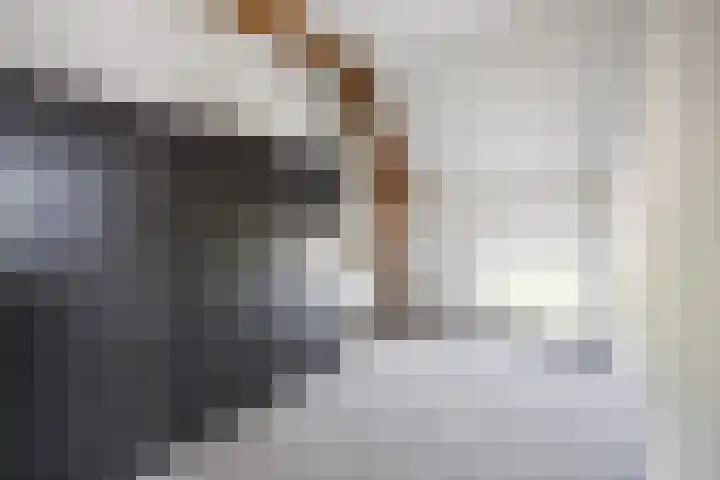 Rijdt 27 Horssen thumbnail 40