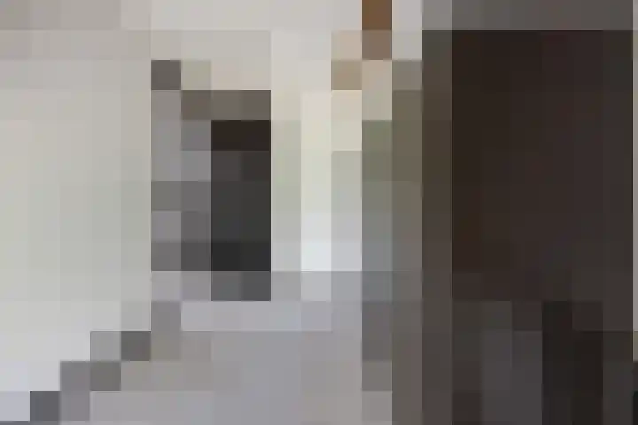 Rijdt 27 Horssen thumbnail 41