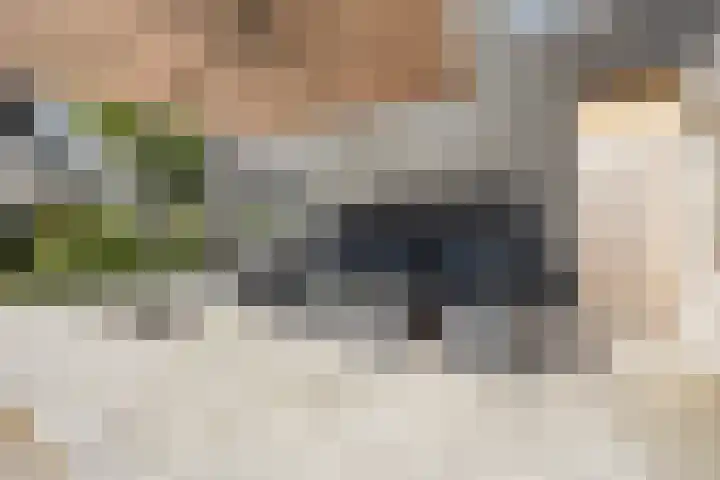 Rijdt 27 Horssen thumbnail 42