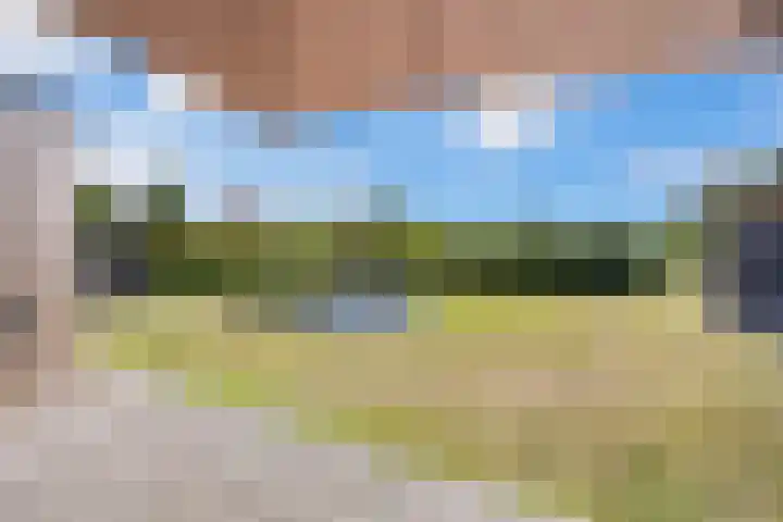 Rijdt 27 Horssen thumbnail 43