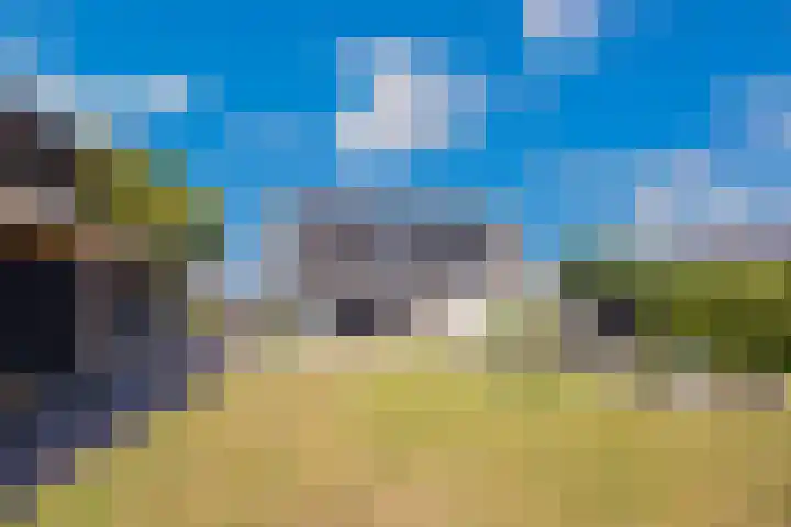Rijdt 27 Horssen thumbnail 44